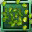 Summer Green-weed Seed-icon.png
