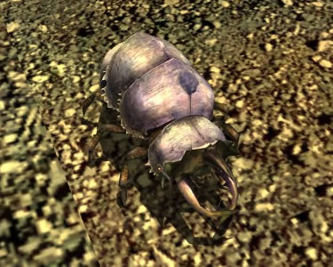 File:Grodbog Worker Beetle.jpg