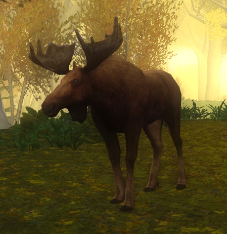 File:Woodland Moose.jpg