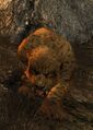 Thumbnail for version as of 16:52, 26 May 2025