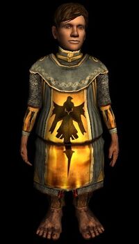 Lancer's Hauberk