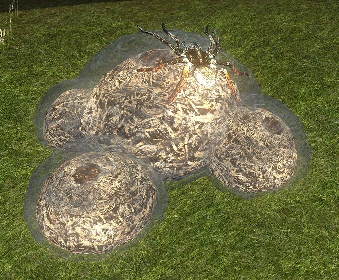 Item Spider Egg Sacs Lotro Wiki Com   681px Spider Egg Sacs 