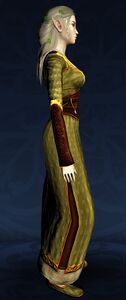 Summer Dress (Long-sleeved)