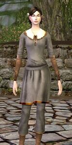 Plain Long-sleeved Tunic and Trousers