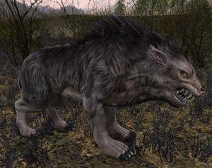 Ravaging Warg (Stonedeans) - Lotro-Wiki.com