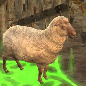 Image of Stolen Sheep