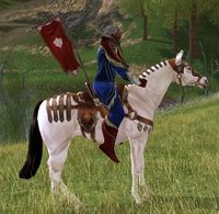 Image of Eriador Horse