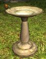 Bird Bath