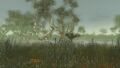 Thumbnail for version as of 16:48, 15 October 2025