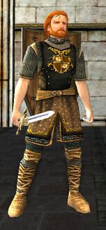 Man Property Guard