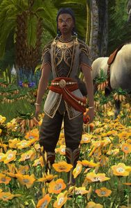 Image of Stable-master