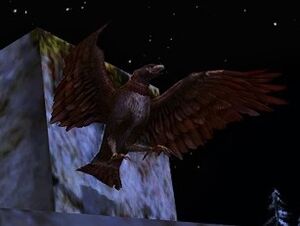 Image of Swift Hawk