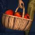 Basket of Apples