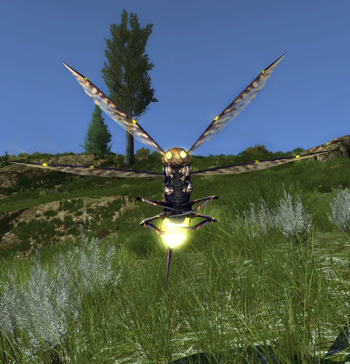 Buzzing Sickle-fly (King's Gondor) - Lotro-Wiki.com