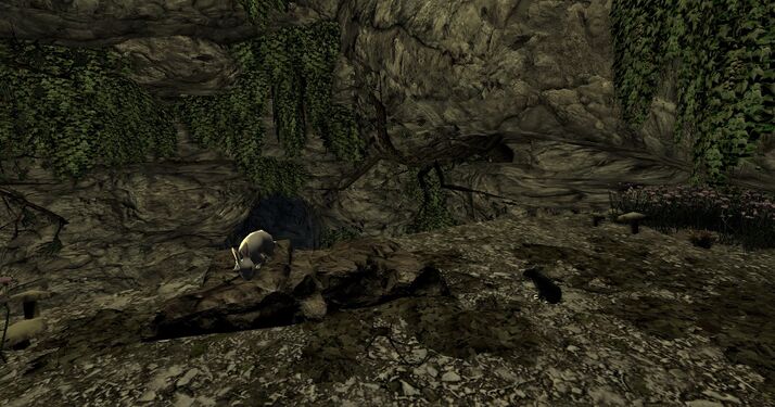 A killer rabbit outside its lair