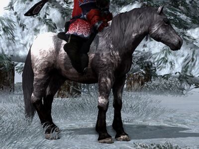 Shaggy Roan Coat: Charcoal