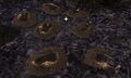Thumbnail for version as of 15:23, 7 June 2025