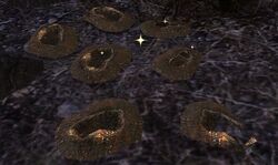 Image of Conspicuous Bootprints