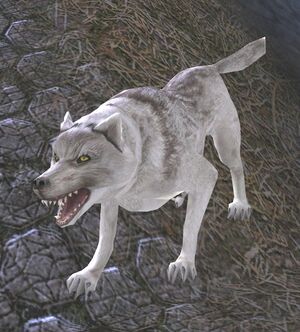 Weak Mountain-wolf - Lotro-Wiki.com