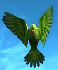 Parrot