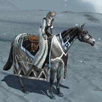 Image of Noble Grey Horse