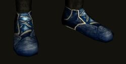 Silver-voice Shoes - Level 65 version