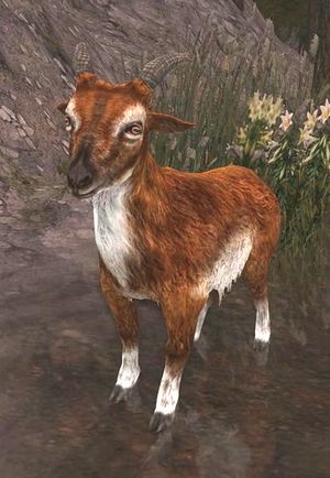 Anórien Mountain-goat.jpg