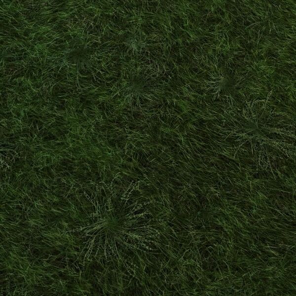 File:Dark Grass Floor.jpg