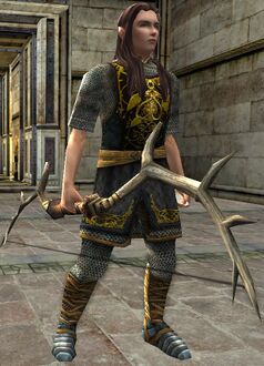 Elf Male Property Guard