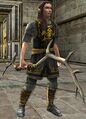 Male Elf Property Guard