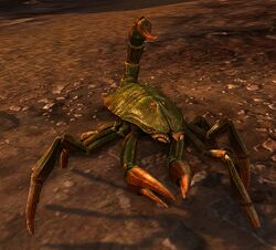 Marsh Scorpion