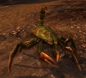 Marsh Scorpion