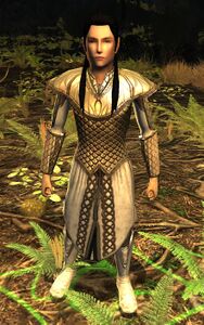 Image of Mirkwood Warrior
