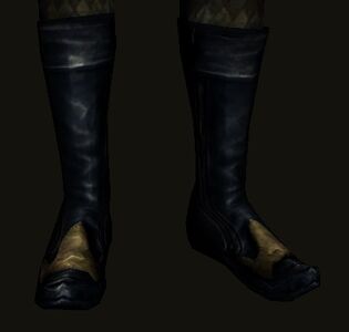Memory of the West Shoes
