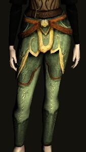Beast-master Leggings