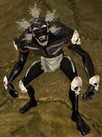 Bonewarden Defiler Appearance