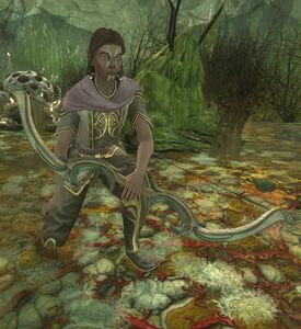 Image of Hunter Trader