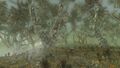 Thumbnail for version as of 08:46, 16 October 2025