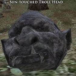 Image of Sun-touched Troll Head