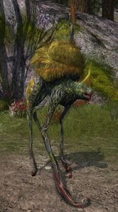 Image of Bog Guardian