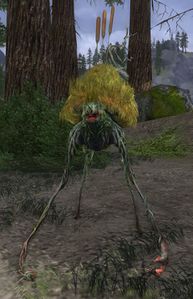 Image of Bog Guardian