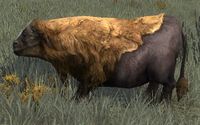A Broadacres Cow, found on the plains of the Westemnet.