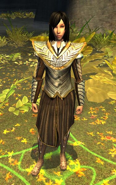File:Lothlórien Sentinel (Session Play).jpg