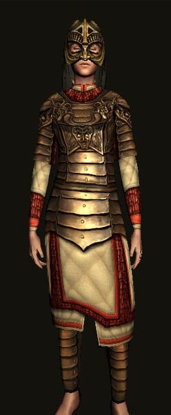 Hauberk and Mask
