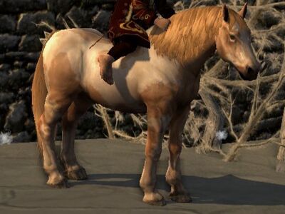 Tobiano Coat: Sorrel