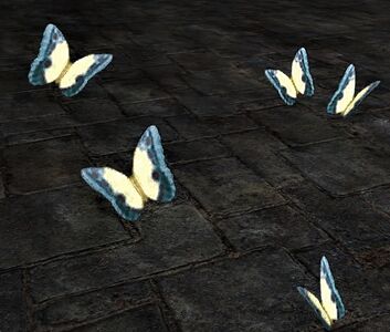 Butterflies