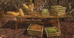 Image of Camp Foods