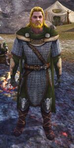 Image of Rohirrim Quartermaster