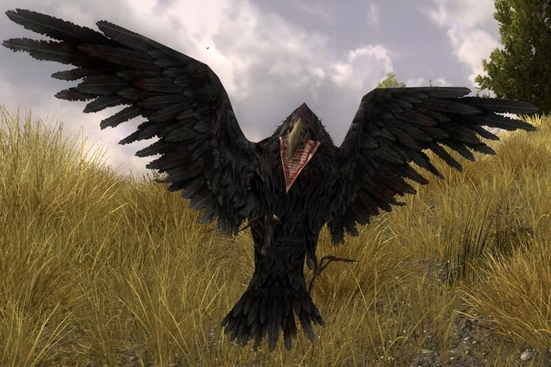 File:Thorn-talon Sentry.jpg