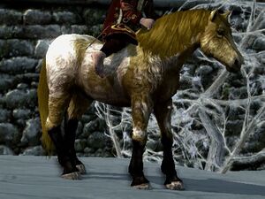 Shaggy Roan Coat: Seal Brown